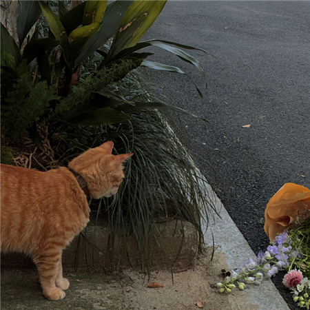 Ů�������˸й¼�(��ѡ100��)