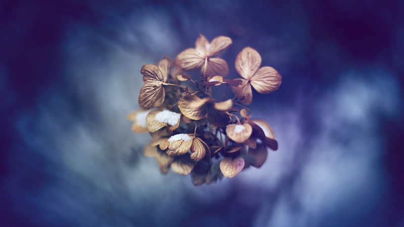 每天一句绝美情诗,让琐碎日常也沾上浪漫星光_wishdown.com 每天一句绝美情诗,让琐碎日常也沾上浪漫星光_wishdown.com