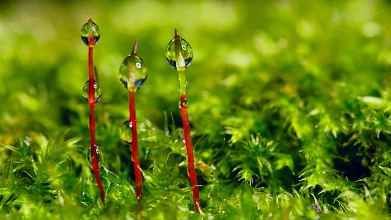 ÿ��һ�������ʫ���������ճ�Ҳմ�������ǹ�