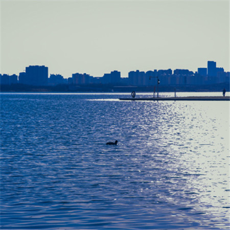 ��������������Ů��Ӣ��(��ѡ100��)