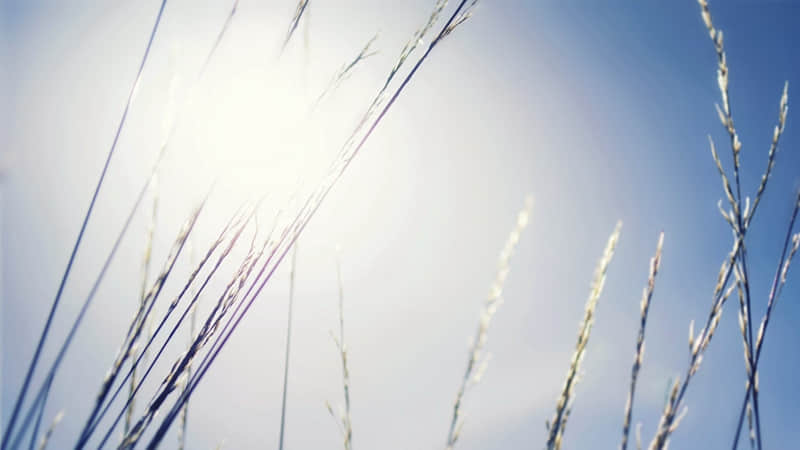 �µ�һ�죬������һ��������Ȧ