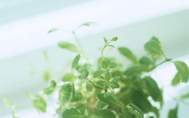 朋友圈??很哇塞的一天~_wishdown.com 朋友圈??很哇塞的一天~_wishdown.com