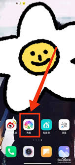 大麦app实名认证失败怎么办-大麦app如何重新提交证件_wishdown.com 大麦app实名认证失败怎么办-大麦app如何重新提交证件_wishdown.com