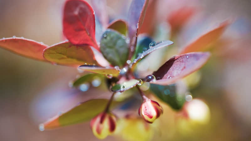 ��ĳ���ˣ���ô˵��Ц����??