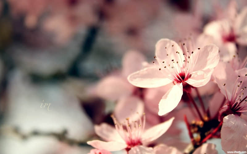 ��������??����Ҫ��������ʧȥ��