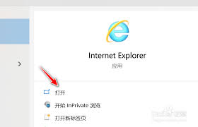 ie11如何设置保护模式_wishdown.com ie11如何设置保护模式