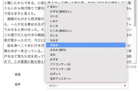 �ݺ�С˵��ο�������ģʽ-�ݺ�С˵AI�����ʶ���ô����