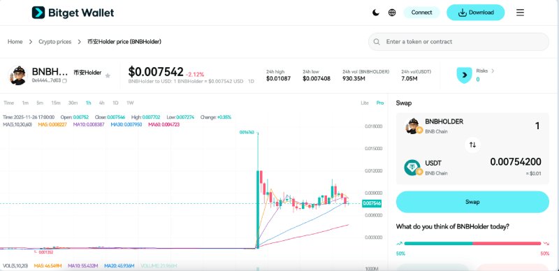 ʲô��Holder(BNBHOLDER)��?δ��Ǳ�����?BNBHOLDER�۸�Ԥ��