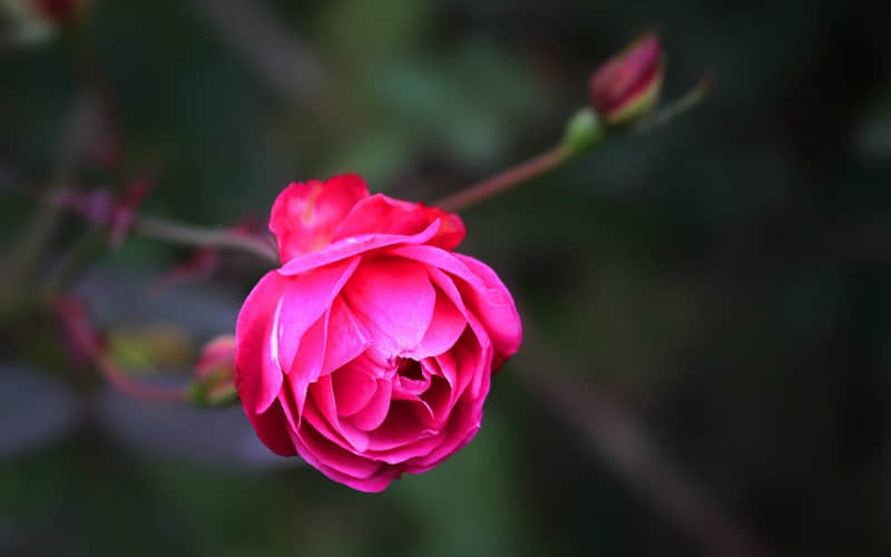 �Ȱ�����ú��������������