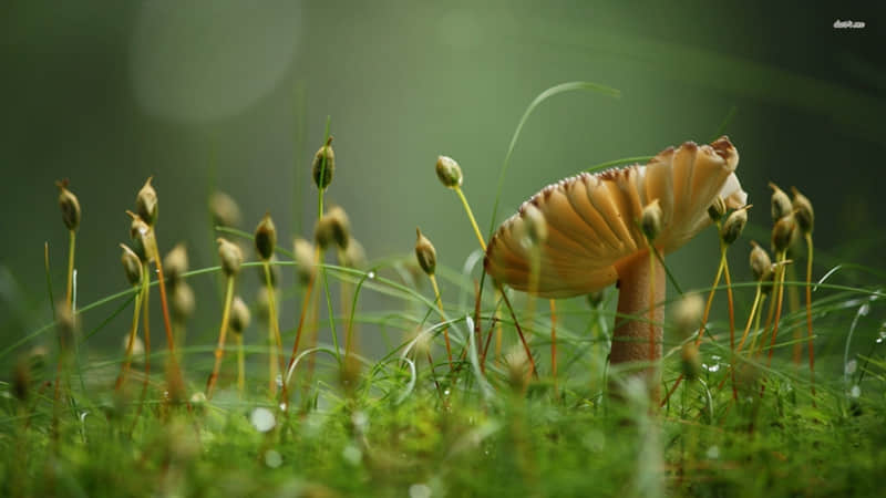 ??�ϼ���������֣�