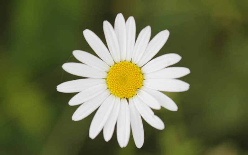 ??老己,请你快乐!_wishdown.com ??老己,请你快乐!_wishdown.com