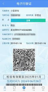 12123换证是否需要提交照片_wishdown.com 12123换证需自行上传照片操作示意