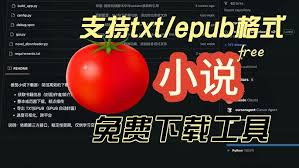 �������С˵��ε���ΪTXT-�������С˵����TXT�̳�