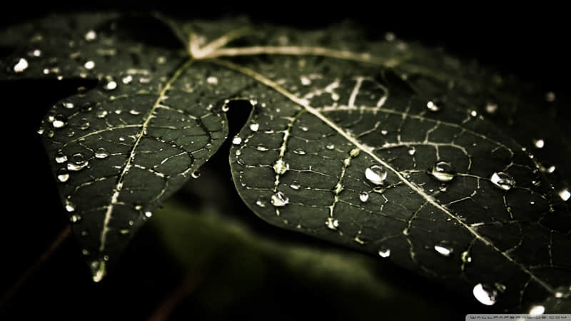 ������������û�����������