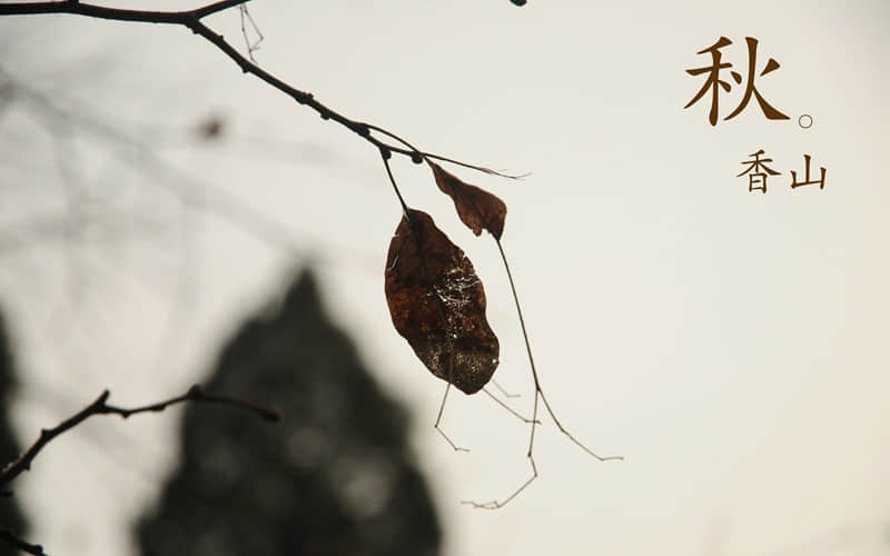 新的一天,朋友圈这样发,元气满满_wishdown.com 新的一天,朋友圈这样发,元气满满_wishdown.com