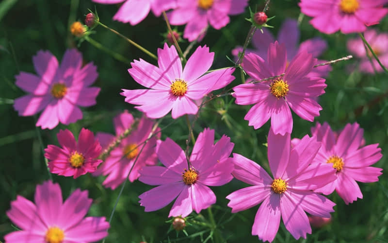 ͻȻһ�¾Ͳ������ˣ����