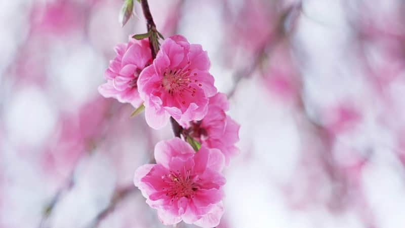 ?�A??????????�@?����������������ǰ���.?.?