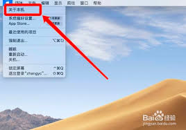 Mac系统怎么查看内存类型_wishdown.com Mac系统怎么查看内存类型