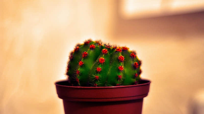 ��˵�˵�����Ȥ�İ����¸¶���