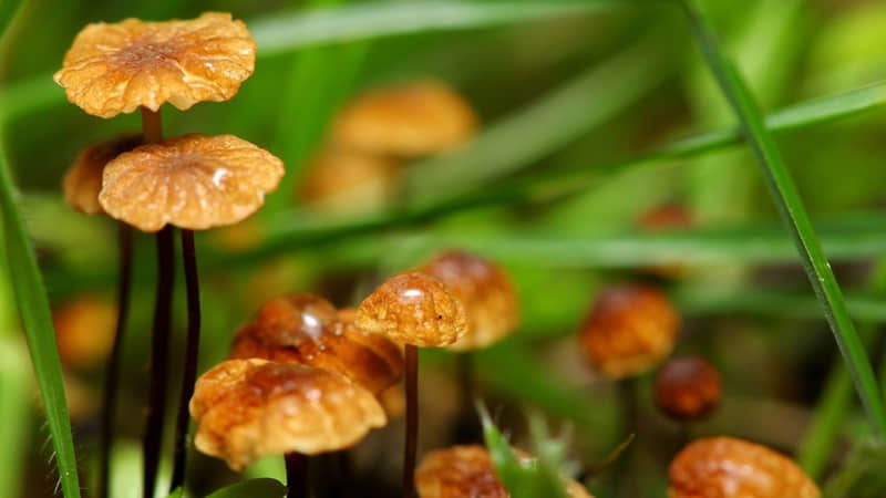 12���¸���Ȥ��Ц���˲������ĸ�ЦѺ�Ͼ�