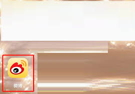 ��ô����΢�����ĵ��˶�̬-΢�����ĵ��˶�̬���η���