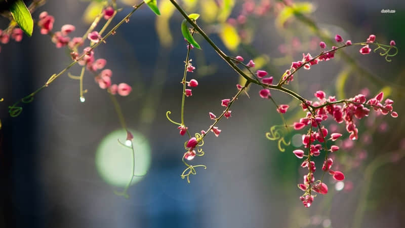 ���մ��֣������ˣ��뷢һ����һ��������Ȧ