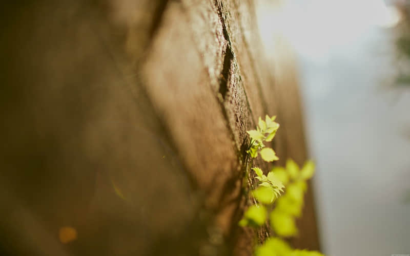 今日春分,生意人,请发一条不一样的朋友圈_wishdown.com 今日春分,生意人,请发一条不一样的朋友圈_wishdown.com