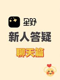 星野如何重启_wishdown.com 星野软件重启方法示意图