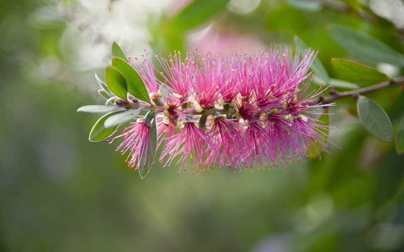 ��Щ��ϵֻ��һ�Σ������ˣ���������