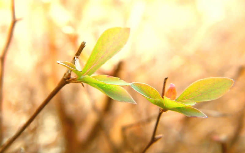 ��λ����ʺ�����Ů��??��̫��������~