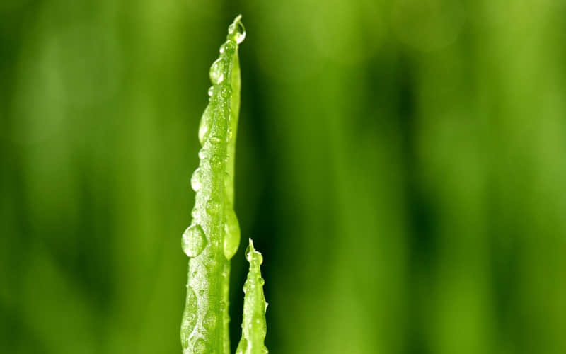 ��һ�䣬ȥ�������������