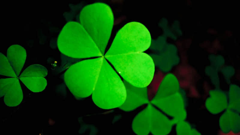 句子很短,却渡了无数人??_wishdown.com 句子很短,却渡了无数人??_wishdown.com