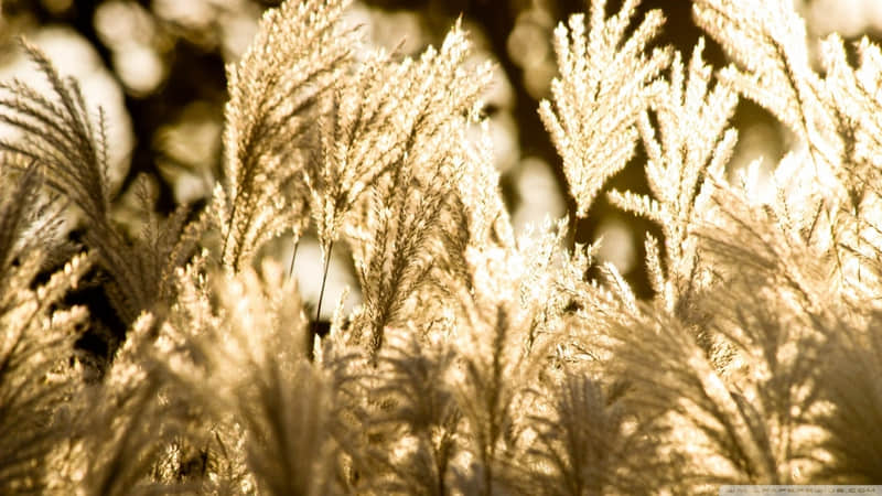 ���Ӻ̣ܶ�ȴ����������??