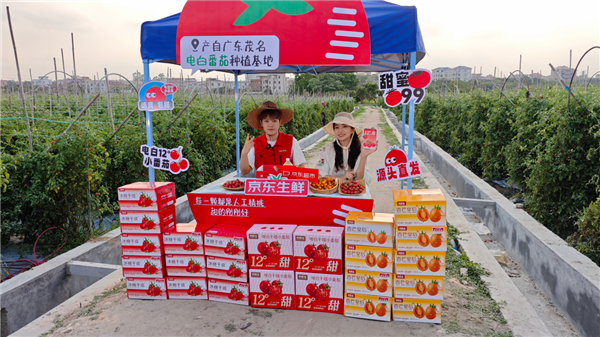 400颗中出一颗的小番茄 1元起拍!每晚8点 超500款新奇特生鲜等你“捡漏”_wishdown.com 400颗中出一颗的小番茄 1元起拍!每晚8点 超500款新奇特生鲜等你“捡漏”_wishdown.com