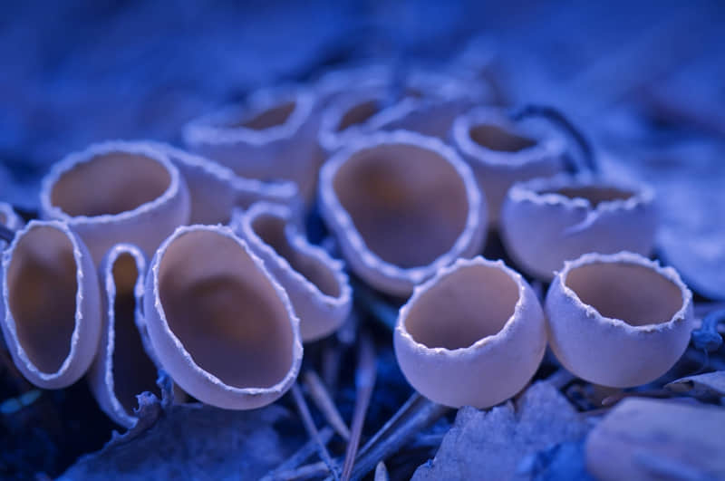 偷偷背梗 做个有梗男人,秒变聊天鬼才??_wishdown.com 偷偷背梗 做个有梗男人,秒变聊天鬼才??_wishdown.com