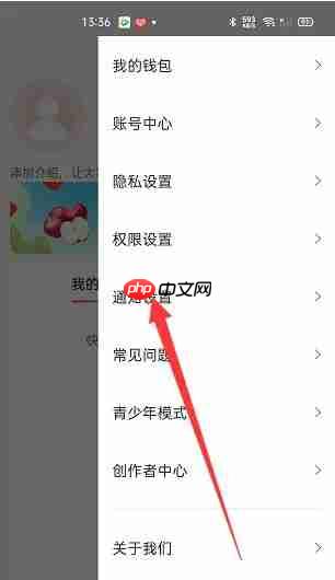 爆米花视频app怎么关闭漂流瓶_wishdown.com