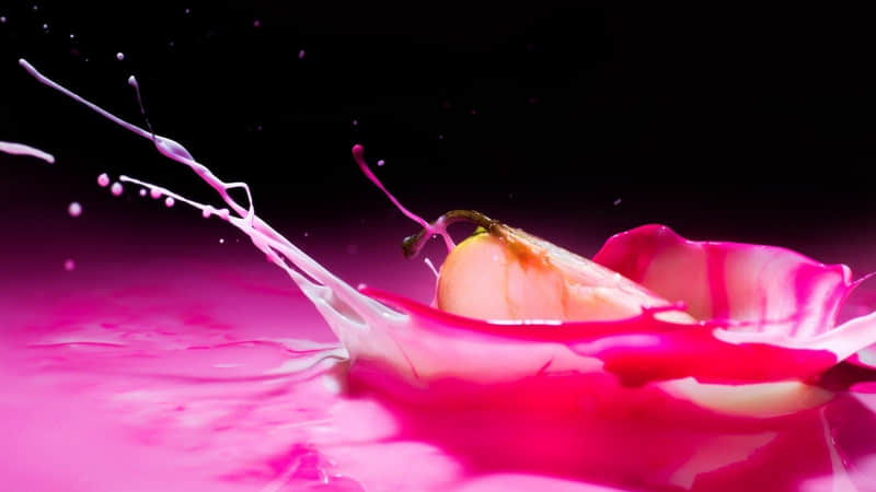 "���Ѷ������׵�����Ȧ�İ�??"