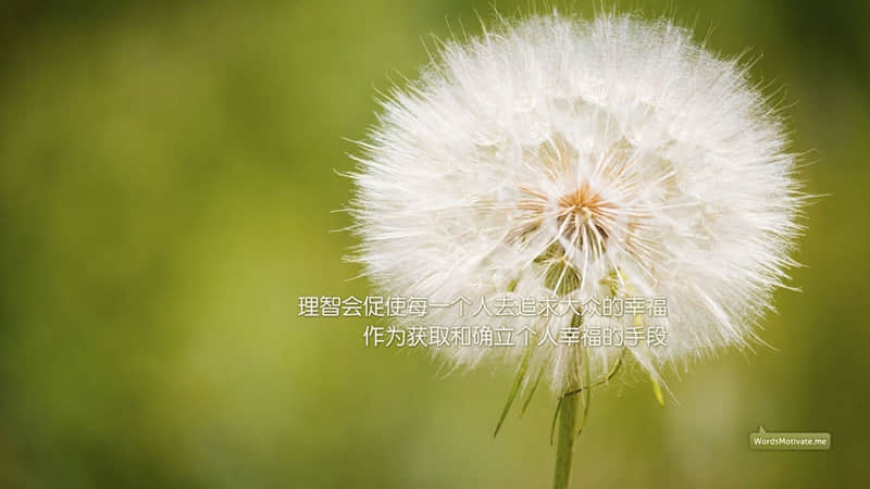 ��Խ����˵������Խ�ں���