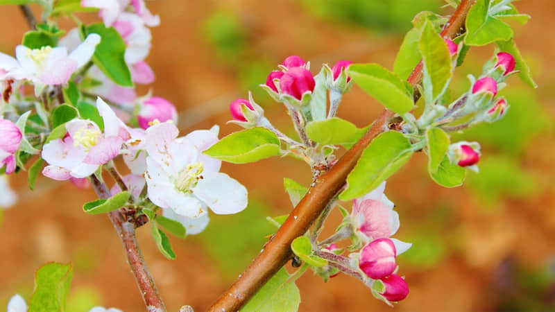 ���������ɷ�ʱ��ô����ȥ�����������Ȧ