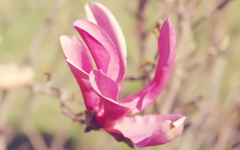 ����������˵����ĳ�˸�������