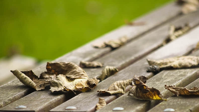 һ�������Ů�ˣ�����Ȧ������