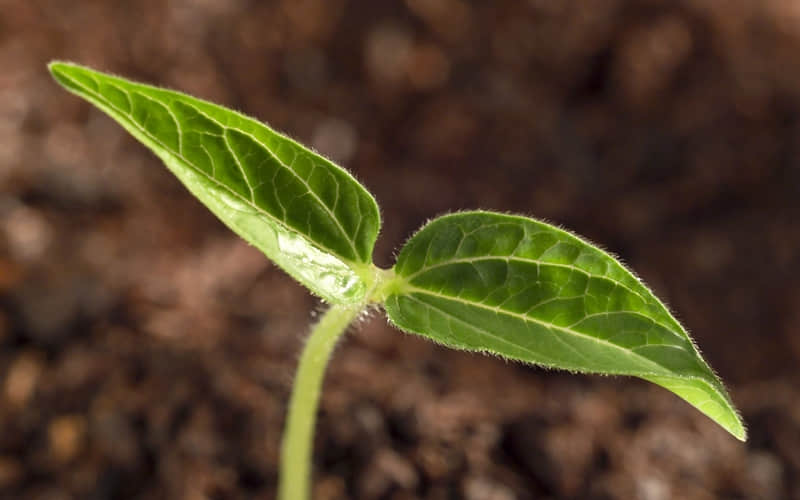 �����������ձ�������������������������������еĽ��ǣ�ֵ���ղأ�????????