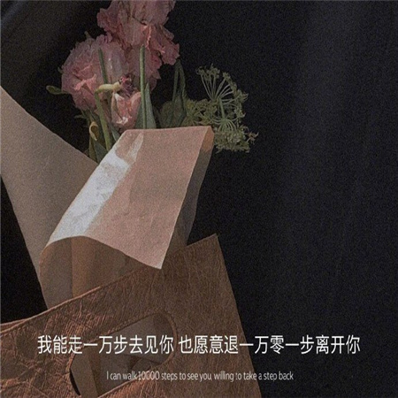 ���������˸�Ů������(��ѡ100��)