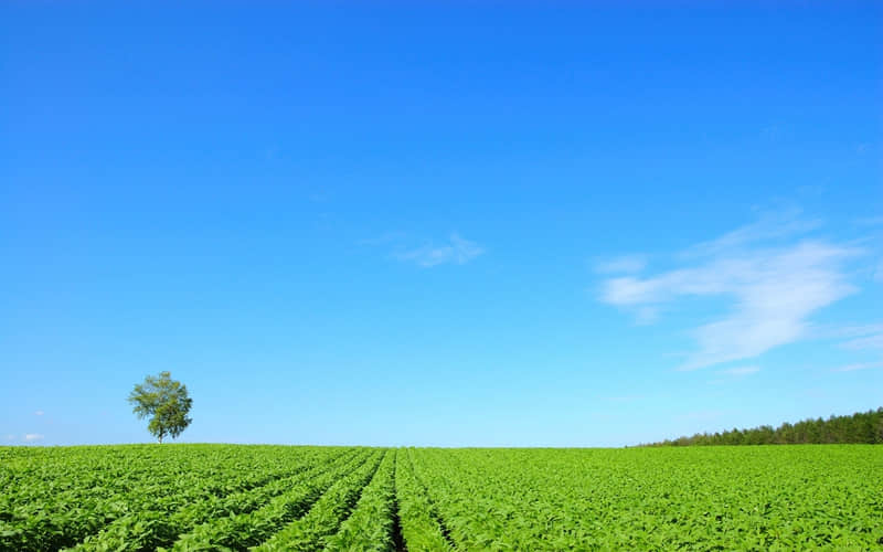 ����������ˣ�Ҳ��ס����������