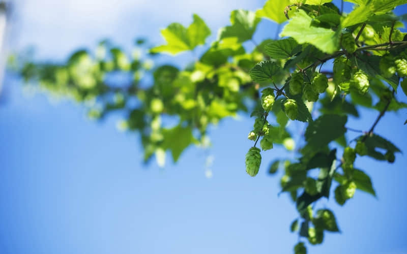 快学起来,男人顶不住的小撒娇_wishdown.com 快学起来,男人顶不住的小撒娇_wishdown.com