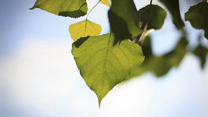 ��ѧ���������˶���ס��С����