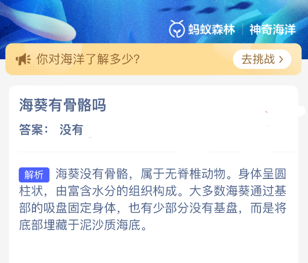 海葵有骨骼吗_wishdown.com 海葵有骨骼吗
