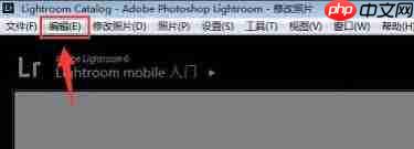 Lightroom如何设置自动放弃1:1预览_wishdown.com Lightroom如何设置自动放弃1:1预览