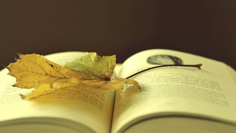 把男人哄上天,这几句就够了!_wishdown.com 把男人哄上天,这几句就够了!_wishdown.com