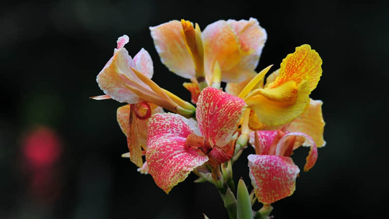 朋友圈稳居第一的发疯文案_wishdown.com 朋友圈稳居第一的发疯文案_wishdown.com